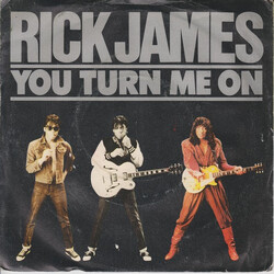Rick James You Turn Me On USED VINYL 7INCH SINGLE 45 RPM