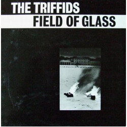 The Triffids Field Of Glass USED VINYL 12INCH 45 RPM EP STEREO