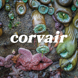 Corvair Corvair Vinyl LP USED