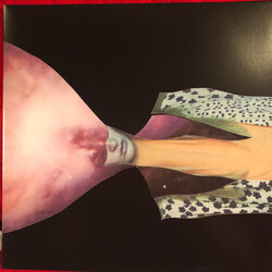 Painted Shield Painted Shield 2 Vinyl LP USED