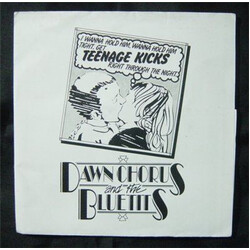 Dawn Chorus & The Blue Tits Teenage Kicks USED VINYL 7INCH 45 RPM SINGLE REISSUE