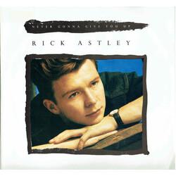 Rick Astley Never Gonna Give You Up USED VINYL 12INCH 45 RPM SINGLE