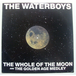The Waterboys The Whole Of The Moon USED VINYL 12INCH SINGLE