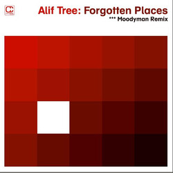 Alif Tree Forgotten Places USED VINYL 12INCH 33 S RPM