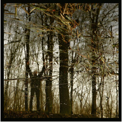 Apoptose Bannwald Vinyl LP USED