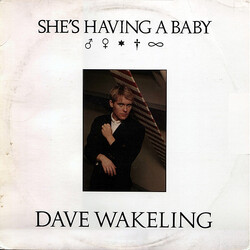 Dave Wakeling She's Having A Baby USED VINYL 12INCH 45 RPM