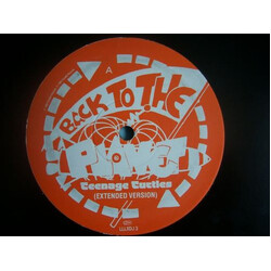 Back To The Planet Teenage Turtles USED VINYL 12INCH PROMO