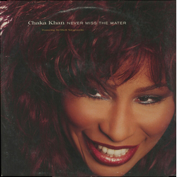 Chaka Khan / Me'Shell NdegéOcello Never Miss The Water Vinyl 12" USED