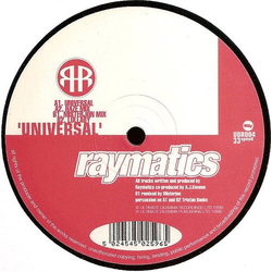 Raymatics Universal Vinyl 12" USED