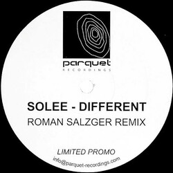 Solee Different (Roman Salzger Remix) Vinyl 12" USED
