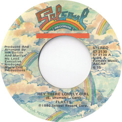 Flakes Hey There Lonely Girl USED VINYL 7INCH 45 RPM SINGLE STYRENE STEREO