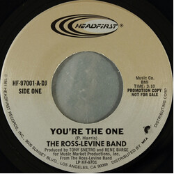 The Ross-Levine Band You're The One USED VINYL 7INCH 45 RPM PROMO