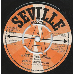 Dooley Silverspoon What In The World USED VINYL 7INCH 45 RPM SINGLE PROMO