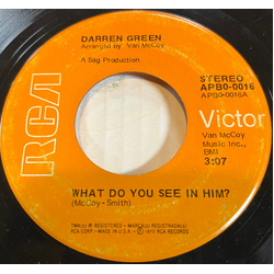 Darren Green (2) What Do You See In Him USED VINYL 7INCH 45 RPM SINGLE