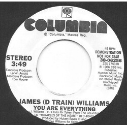 James "D-Train" Williams You Are Everything USED VINYL 7INCH 45 RPM PROMO