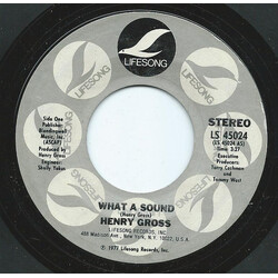 Henry Gross What A Sound USED VINYL 7INCH 45 RPM SINGLE