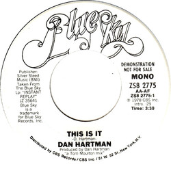 Dan Hartman This Is It USED VINYL 7INCH 45 RPM PROMO STEREO MONO