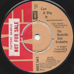 The Nashville Soul Orchestra Can U Dig It USED VINYL 7INCH 45 RPM SINGLE