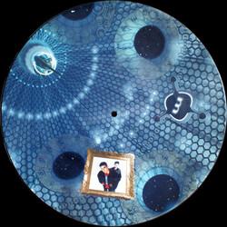 Microbots I Didn't Know What To Expect USED VINYL 12INCH 33 S RPM 45 RPM PICTURE DISC