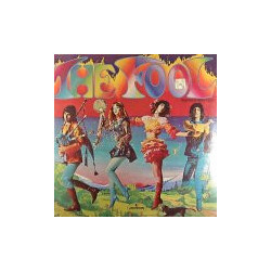The Fool The Fool Vinyl LP USED