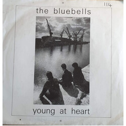 The Bluebells Young At Heart USED VINYL 7INCH 45 RPM