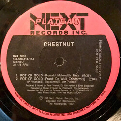 Chestnut Pot Of Gold USED VINYL 12INCH 33 S RPM PROMO