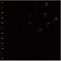 Crumb (9) Ice Melt Vinyl LP USED