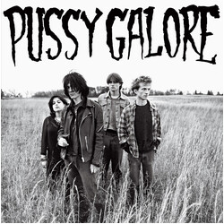 Pussy Galore (2) Groovy Hate Fuck USED VINYL 12INCH 45 RPM EP RECORD STORE DAY REISSUE