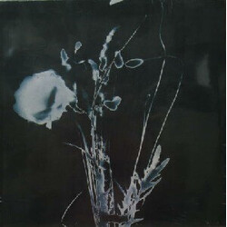 INORAN 想 Vinyl LP USED