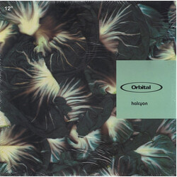 Orbital Halcyon USED VINYL 12INCH 33 S RPM