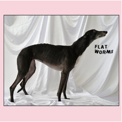 Flat Worms Flat Worms Vinyl LP USED