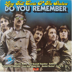 Long Tall Ernie And The Shakers Do You Remember Vinyl LP USED