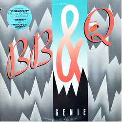 The Brooklyn, Bronx & Queens Band Genie Vinyl LP USED