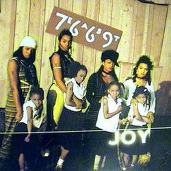 7669 Joy USED VINYL 12INCH 33 S RPM SINGLE STEREO