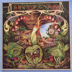 Spyro Gyra Morning Dance Vinyl LP USED