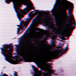 Robert Panthera Krause Laika USED VINYL 12INCH EP