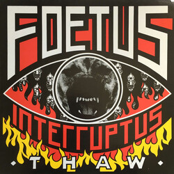 Foetus Thaw Vinyl LP USED