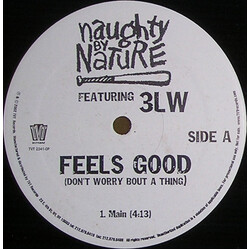 Naughty By Nature / 3LW Feels Good (Don't Worry Bout A Thing) USED VINYL 12INCH