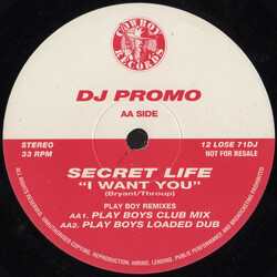 Secret Life I Want You USED VINYL 12INCH 33 S RPM PROMO
