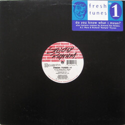 Fresh Tunes Do You Know What I Mean? USED VINYL 12INCH 33 S RPM