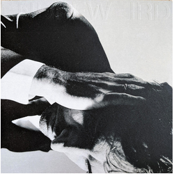 Andrew Bird Inside Problems Vinyl LP USED