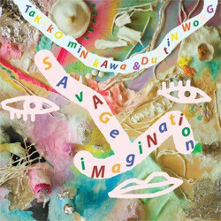 Dustin Wong / Takako Minekawa Savage Imagination Vinyl LP USED