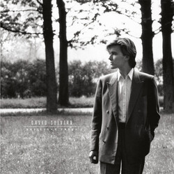 David Sylvian Brilliant Trees Vinyl LP USED