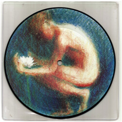 The Lotus Eaters The First Picture Of You USED VINYL 7INCH 45 RPM PICTURE DISC