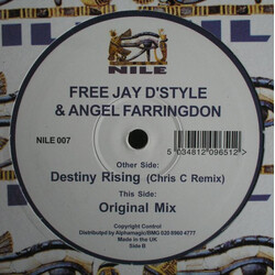 Freejay D'Style / Angel Farringdon Destiny Rising USED VINYL 12INCH 33 S RPM