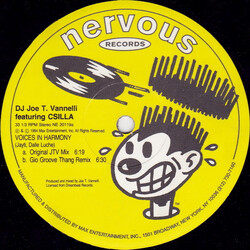 Joe T. Vannelli / Csilla Voices In Harmony USED VINYL 12INCH 33 S RPM STEREO