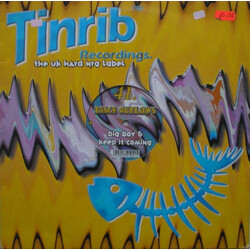 Disco Outlaws Big Boy / Keep It Coming USED VINYL 12INCH