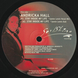Andricka Hall / Deep Swing Stay Inside My Life / Shelter (Remixes) USED VINYL 12INCH 33 S RPM