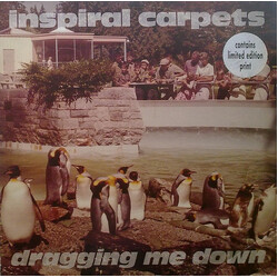 Inspiral Carpets Dragging Me Down USED VINYL 12INCH 45 RPM SINGLE