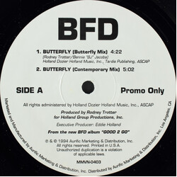 The Boyz From Detroit Butterfly USED VINYL 12INCH 33 S RPM PROMO